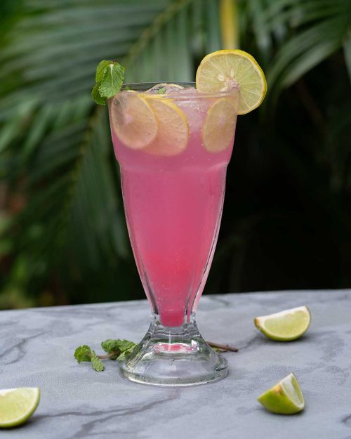 Cranberry Mojito